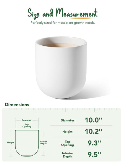LE TAUCI 10 Inch Plant Pot, Ceramic Pots for Plants with Drainage Hole and Rubber Plug, Plant Pots Indoor for Olive Tree, Cylinder Planter Pot for Home Patio Office, White