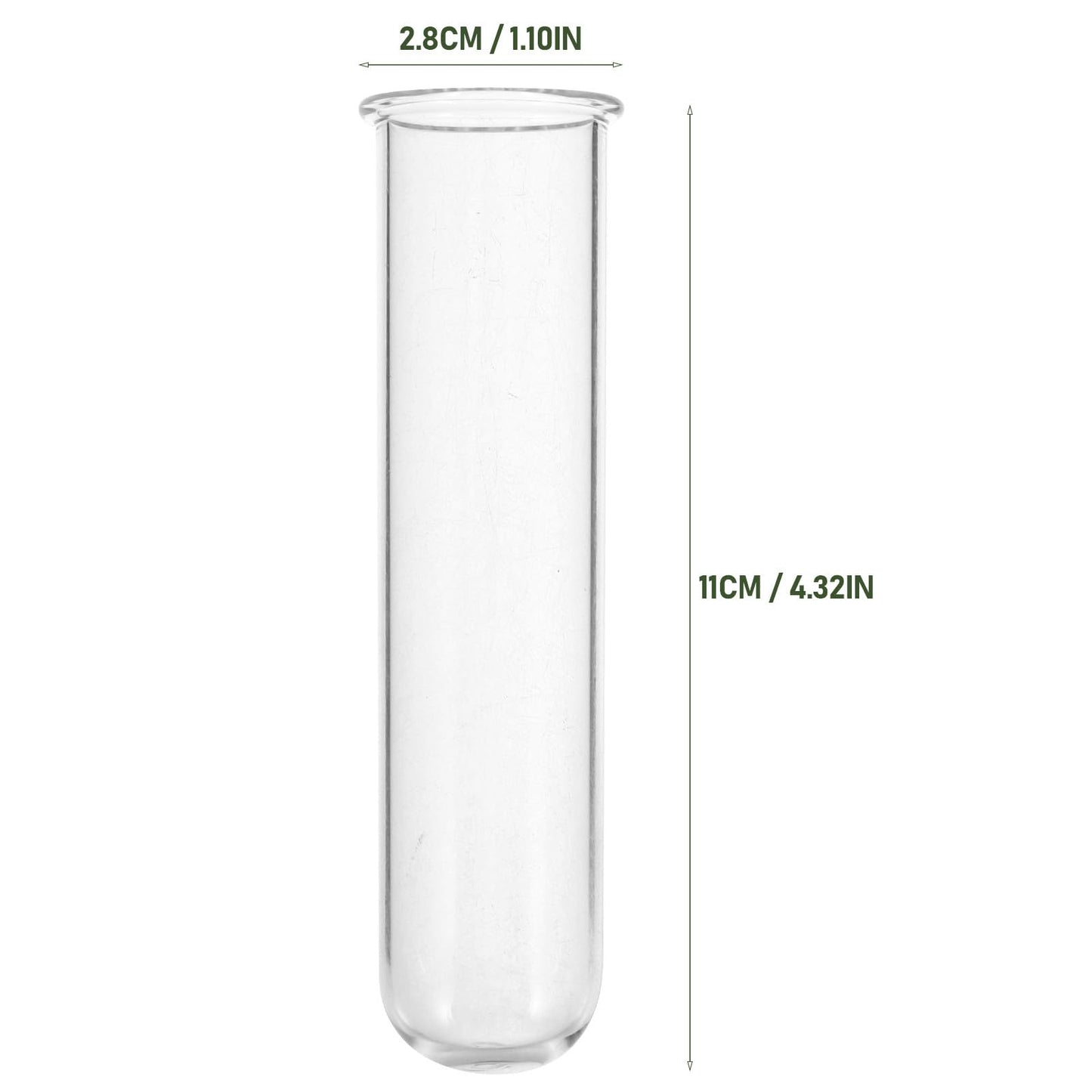 DOITOOL 5Pcs Glass Test Tube Vases 2.5X3X11Cm Hydroponic Propagation Tubes Small Plant Terrarium Vase for Home Décor and Floral Display
