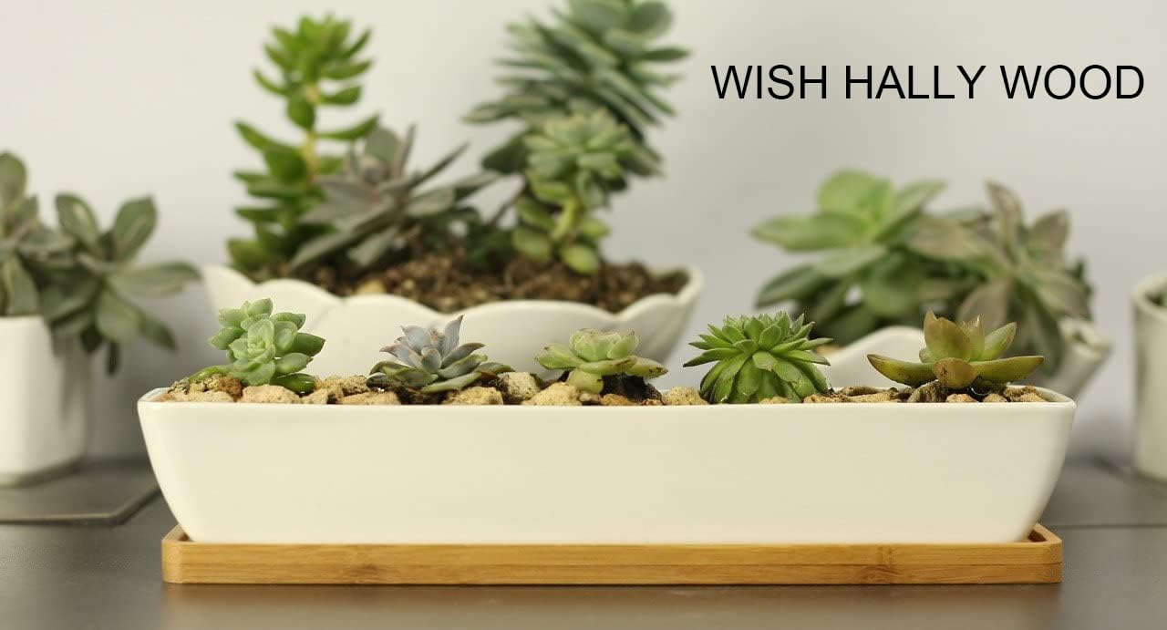 WISH HALLY WOOD 11inch Long Rectangle White Ceramic Succulent Planter Pots/Mini Flower Plant Containers with Bamboo Saucers. Product Size:11x2.23x1.69inch,not Include The Plant. (Long Rectangle)