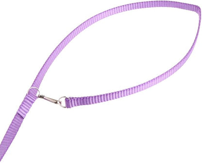 Pet Bird Harness Leash, Adjustable Parrot Flying Rope, Bright Color for Parrots, Pigeons, Lovebird, Outdoor Training, Anti-Flyaway, Green, Purple, Pink, Blue, Orange, 0.8x120cm/0.31x47.24''