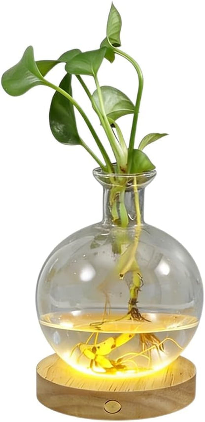 Led Hydroponic Plant Vase, Hydroponic Glass Container Vase Jars, Plant Propagation Station with Wooden Saucer for Desks, Houses, Garden Decorations