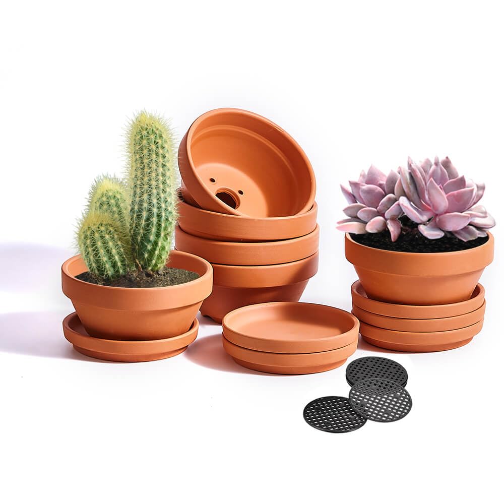 5 Inch Shallow Terracotta Pot for Succulent - 6 Pcs Small Shallow Plant Pots with Drainage Hole and Saucer Mesh Pad, Clay Plant Pottery Pots for Cactus Succulent and Other Indoor Outdoor Plants