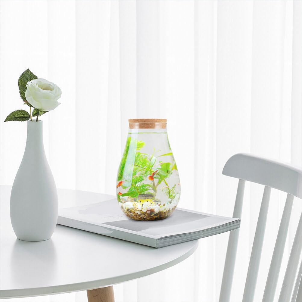 INOOMP 2pcs Glass Plant Terrarium, Tabletop Succulent Planter Sealed Glass Bottles Vial Air Plant Planter Candy Cookie Jar Fish Bowl Vase with Cork Top