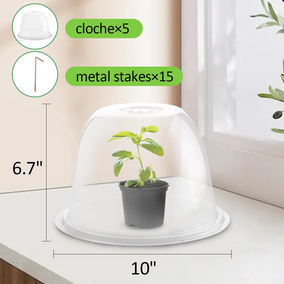 10" D × 6.7" H Plant Protectors from Animals, Garden Cloches for Seedlings Nursery Pots, Durable Humidity Domes with Ventilation Holes, Clear Plant Covers, Mini Greenhouse for Plants 5-Pack