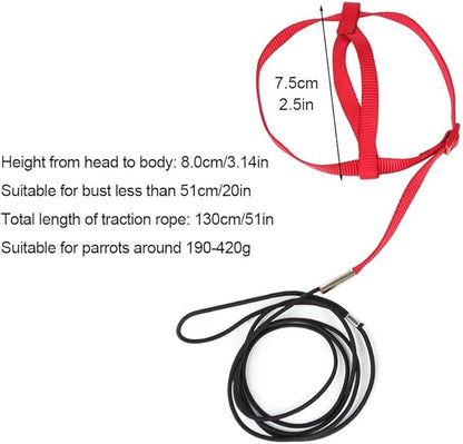 Parrot Harness Leash, Anti Bite Bird Training Leash Adjustable Parrot Flying Rope for Parrot Budgerigar Lovebird Cockatiel