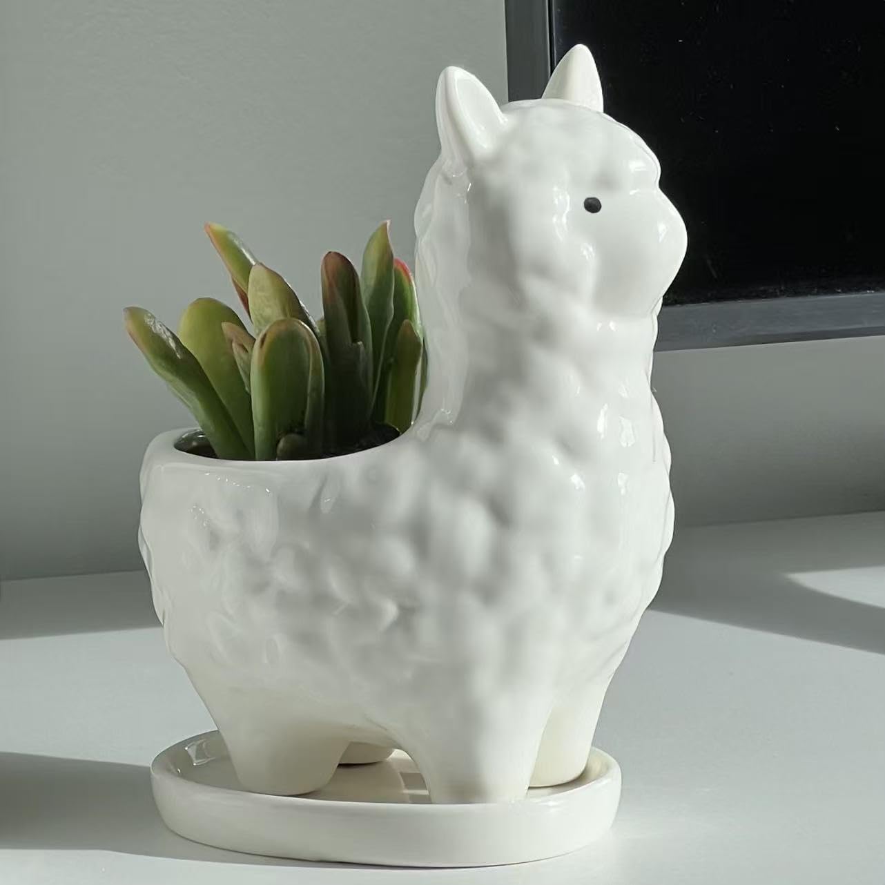 Succulent Planter Pot with Drainage Hole – White Ceramic Animal Pot for Small Plants, Cactus, Flowers – Indoor Outdoor Garden Patio Balcony Decor, Cute Gardening Gift, 6 Inch