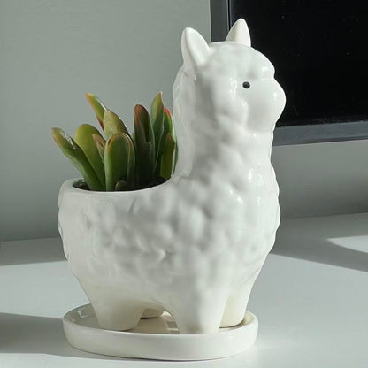 Succulent Planter Pot with Drainage Hole – White Ceramic Animal Pot for Small Plants, Cactus, Flowers – Indoor Outdoor Garden Patio Balcony Decor, Cute Gardening Gift, 6 Inch