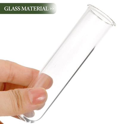 DOITOOL 5Pcs Glass Test Tube Vases 2.5X3X11Cm Hydroponic Propagation Tubes Small Plant Terrarium Vase for Home Décor and Floral Display