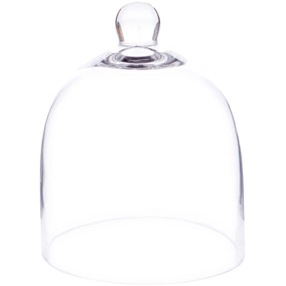 Plymor 6" x 7" Bell Jar Glass Display Dome Cloche (Small - Interior Size 5.75 inch x 5.75 inch)