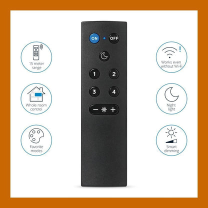 WiZ Connected Remote Light Switch, Works with All WiZ Products, Turn Lights On or Off, Brighten or Dim Room, Control Switch, 1 Pack