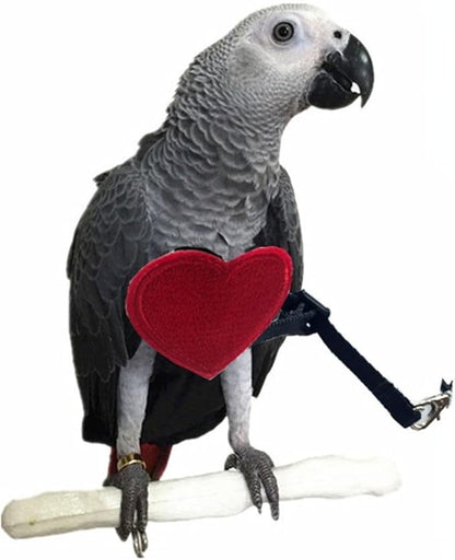 Adjustable Birds Harness and Leash Parrot Harness Leash Training Supplies Pet Anti-bite Outdoor Flying Rope for Conures Budgerigar Lovebird Cockatiel Mynah (S)