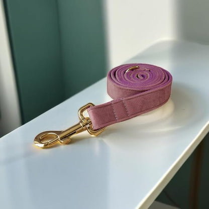 Love Dream Velvet Dog Collar and Leash Set, Soft & Comfy Adjustable Dog Leash and Collar with Heavy Duty Metal Buckle for Small Medium Large Dogs Training & Walking (Small, Light Purple)