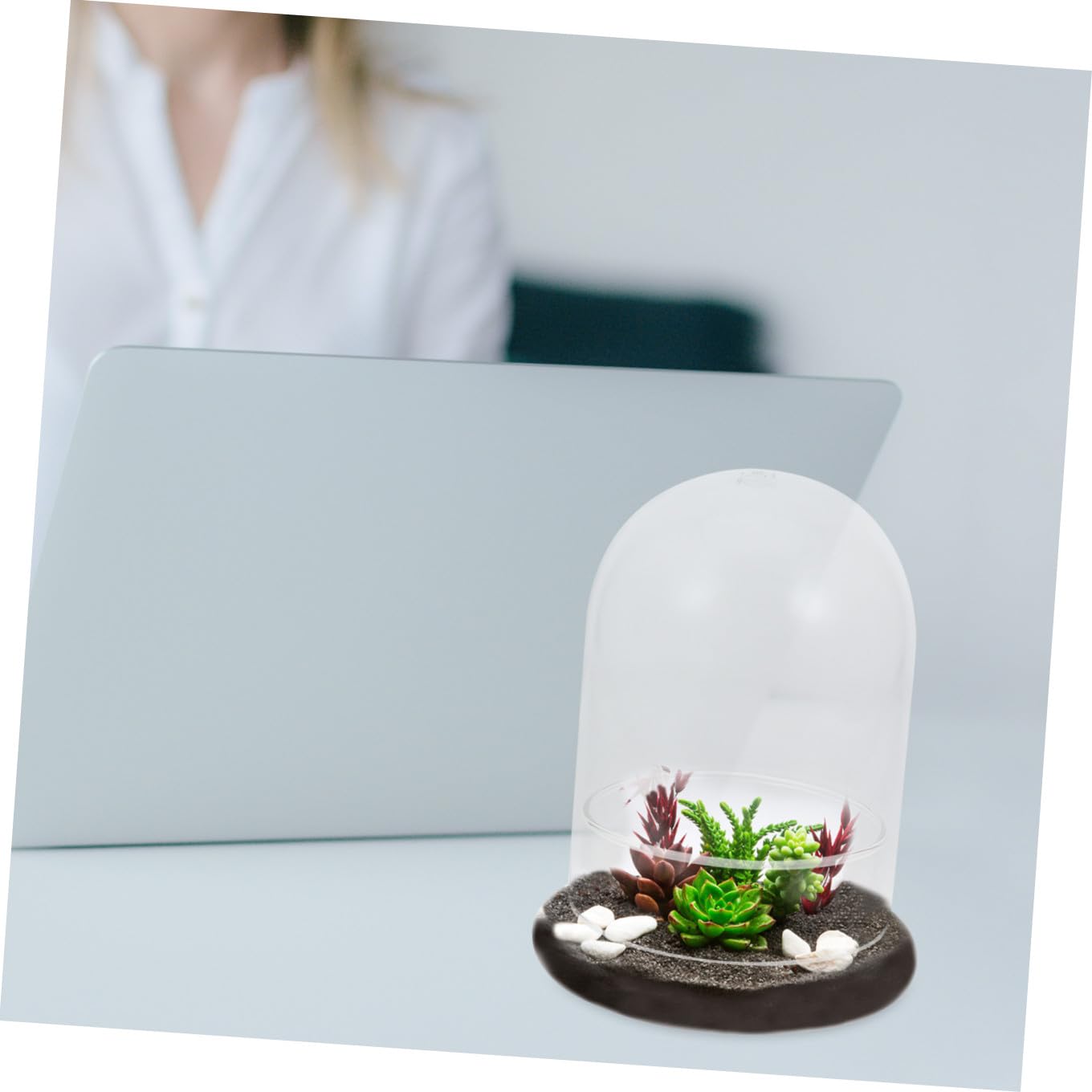 IMIKEYA Glass Moss Bottle for Terrarium Propagation Planters Plant Accessories Indoor Decor Fairy Garden Kit