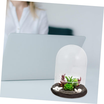IMIKEYA Glass Moss Bottle for Terrarium Propagation Planters Plant Accessories Indoor Decor Fairy Garden Kit