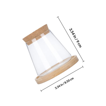 Uonlytech Hydroponic Glass Vase with Wooden Stopper and Dipper, Plant Terrarium for Indoor Gardening, Desktop Flower Pot for Office and Home Décor