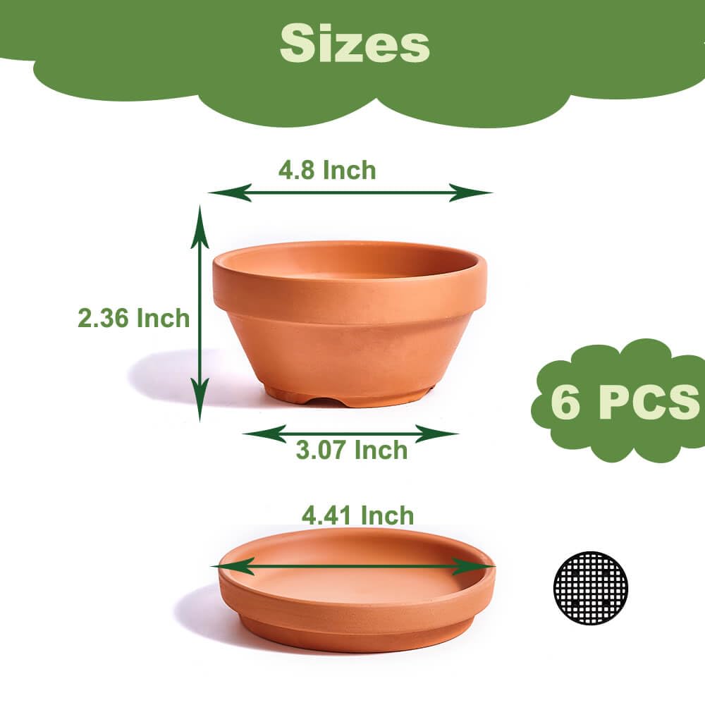 5 Inch Shallow Terracotta Pot for Succulent - 6 Pcs Small Shallow Plant Pots with Drainage Hole and Saucer Mesh Pad, Clay Plant Pottery Pots for Cactus Succulent and Other Indoor Outdoor Plants