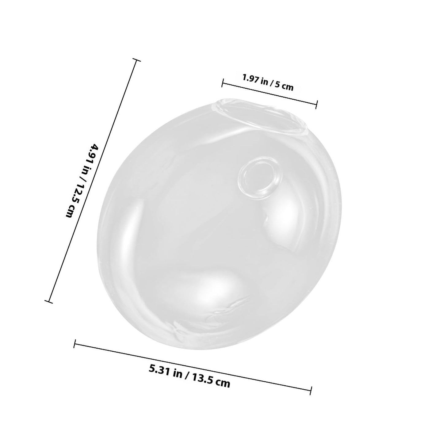 CVUTOVO Wall Mounted Glass Vase for Indoor Plants, Small Hydroponic Planter, Hanging Terrarium Container for Home Décor, 1pcs