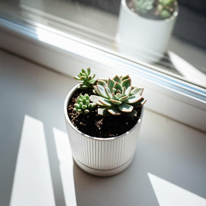 HERDUK Small Plant Pots, 4 Inch Pots for Indoor Plants, Modern Minimalist Ceramic Plant Pots with Drainage Hole & Saucer, White Set of 2