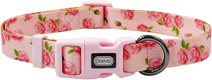Dog Collar Leash Set, Floral Pattern, Polyester Material, Adjustable Collar and 5ft Matching Leash, for Medium Dogs.(M, Pink Rose)