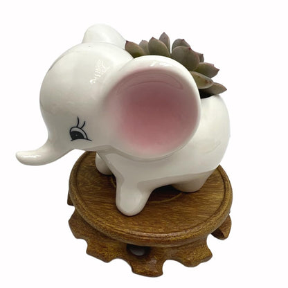 BEECO GIF2U Cute Ceramic Planter Pots,Planters for Indoor Shallow Houseplants Flower and Succulent with Drainage Holes and Wood Tray for Decoration Elephant