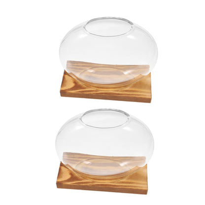 Ipetboom 2pcs Small Glass Propagation Vases with Wooden Base, Hydroponic Plant Terrariums for Home Office Desk, Glass Planter Suitable for Indoor Plant Cultivation