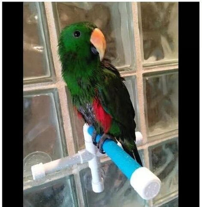 Hypeety Bird Parrot Stand Perch Shower Perch Standing Toy Portable Suction Cup Parrot Bath Stands Suppllies Holder Platform Parakeet Window Wall Hanging Play (3 Suction Cups1)
