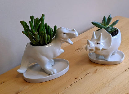 zmgmsmh Ceramic Succulent Plant Pot Cactus Plant Pot Flower Pot Container Planter with Drainage Hole Home Office Desk Garden Gift Idea Animal Shaped Flower Pot Cute Vase Pot (4pcs Dinosaur)