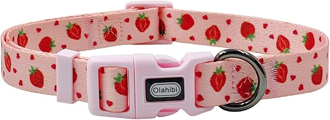 Dog Collar Leash Set, Fruit Pattern, Polyester Material, Adjustable Collar and 5ft Matching Leash, for Puppy Dogs.(XS, Strawberry)