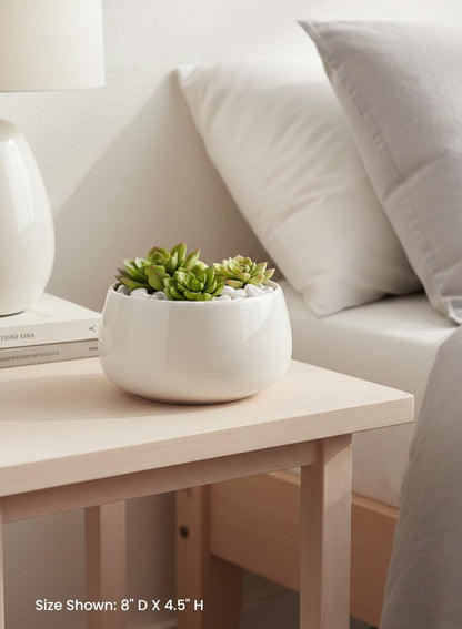 Serene Spaces Living Large Glossy White Ceramic Bowl, Modern Terrarium Succulent Planter, Floral Container, Trinket Holder, Fruit & Candy Bowl for Kitchen, Coffee Table, 8" Diameter & 4.5" Tall