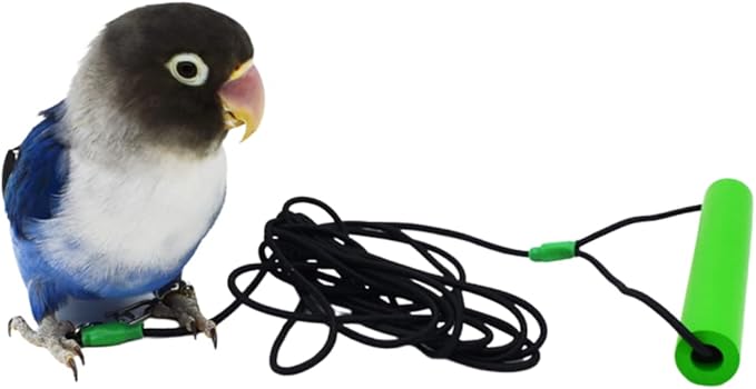 Bird Foot Chain with Flying Latex Elastic Training Rope Outdoor Parrot Ankle Foot Ring Accessories Bird Harness Leash Prevent Escaping (Model7-With 78.7inch Leash)