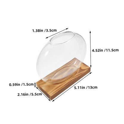 NULYLU 2Pcs Glass Plant Propagation Vases with Wooden Base, Hydroponic Terrarium Containers for Indoor Plants, Desktop Flower Vase Decor for Home and Office