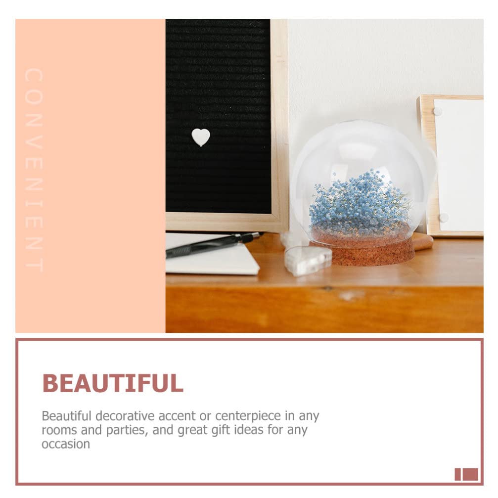 Sewroro 4 Pcs Clear Glass Cloche Globe Display Dome with Cork Base Glass Plant Terrarium Preserved Flower Dome Cover Keepsake Globe Display Case for Lamp Succulents Home Decor