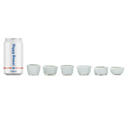 Bonsai Planter 1.8 inch (4.5cm) Mini Succulent Glazed Pots Set of 12 Gray White