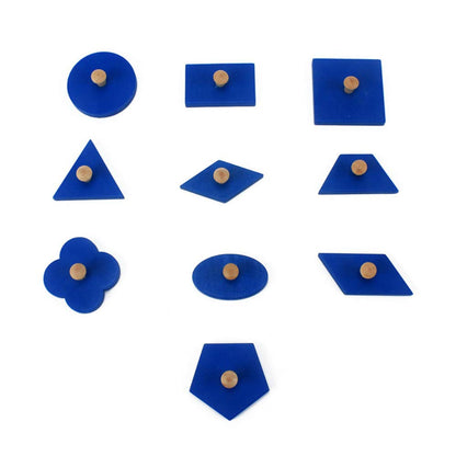 DANNI Family Version Baby Shape Cognition Toy Montessori Wood Geometric Insets Set/10 Early Childhood Education Preschool Training Kids Toys