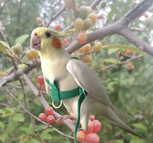 VANFAVORI Adjustable Bird Harness with 80 Inch Leash, Outdoor Flying Kit Training Rope for Bird Parrots Cockatiel S Size Weight 70-120 Grams,Green