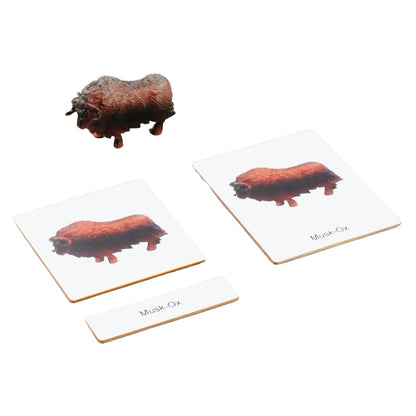 ancona Antarctic Animals, Spanish/English Bilingual, Montessori Preschool Memory Matching Game Box Set with Animal Figurines & 3-Part Cards, Early Education Toy