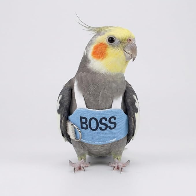 2 Pack Bird Flight Suit Vest, Adjustable Parrot Harness Clothes with Cute Design, Anti-Bite Outdoor Training Outfit for Parakeet, Cockatiel, Conure, Quaker, Budgie (L,Without Leash)