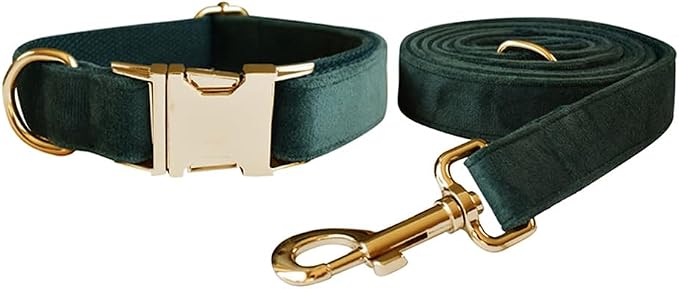 Love Dream Velvet Dog Collar and Leash Set, Soft & Comfy Adjustable Dog Leash and Collar with Heavy Duty Metal Buckle for Small Medium Large Dogs Training & Walking (Small, Green)