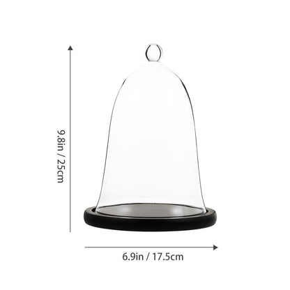 Cupcake Clear Glass Dome Cloche with Rustic Wooden Base Antique Bell Jar Display Dome for Plants Succulents Fairy Lights Photos Medals Decorative Fill and More Black Mini Cake Stand