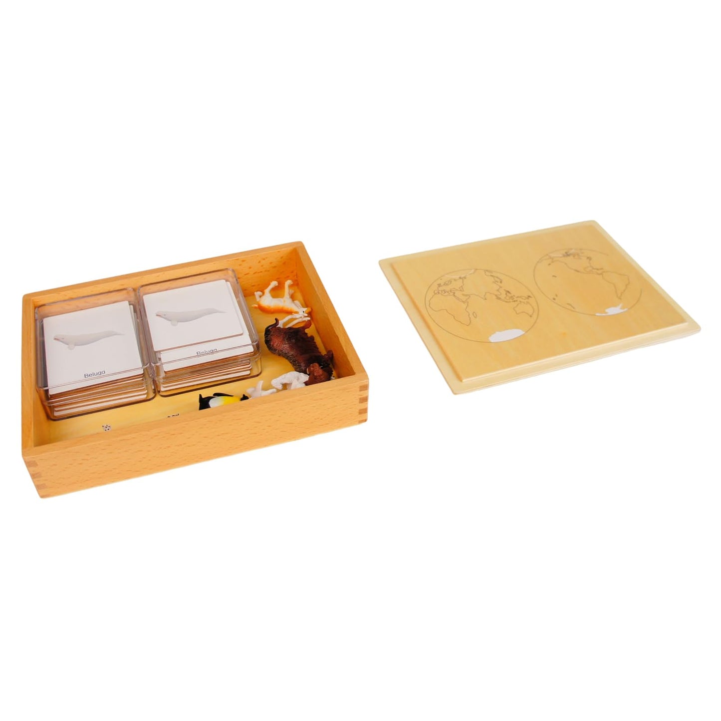 ancona Antarctic Animals, Spanish/English Bilingual, Montessori Preschool Memory Matching Game Box Set with Animal Figurines & 3-Part Cards, Early Education Toy