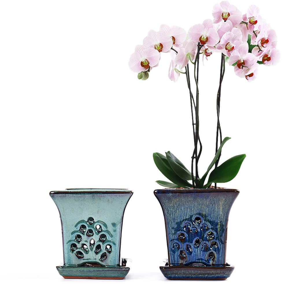 Ceramic Orchid Pots with Holes attached Saucers 4.8 Inches - Set of 2 Small Square Orchid Pots for Repotting, Decorative Ceramic Orchid Planter with Hole for Healthy Root Growth Blue and Green