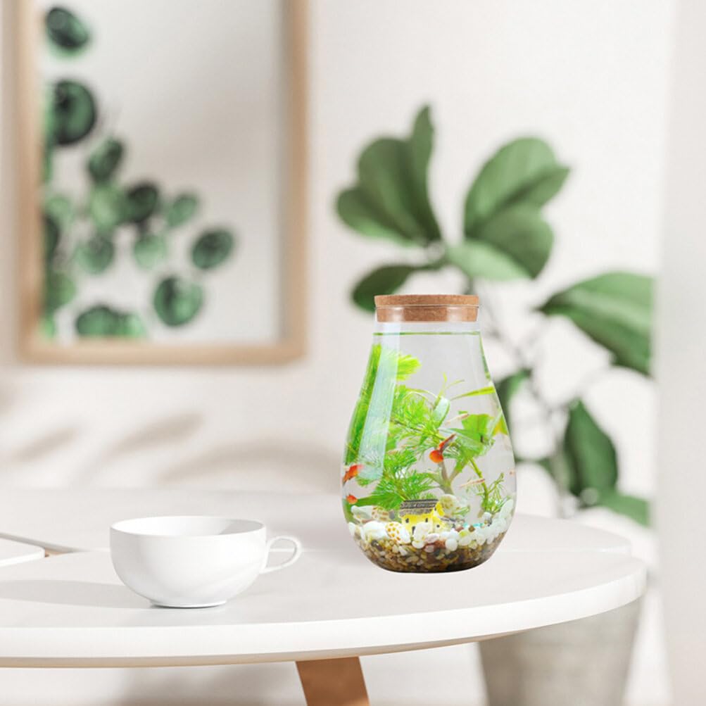 INOOMP 2pcs Glass Plant Terrarium, Tabletop Succulent Planter Sealed Glass Bottles Vial Air Plant Planter Candy Cookie Jar Fish Bowl Vase with Cork Top