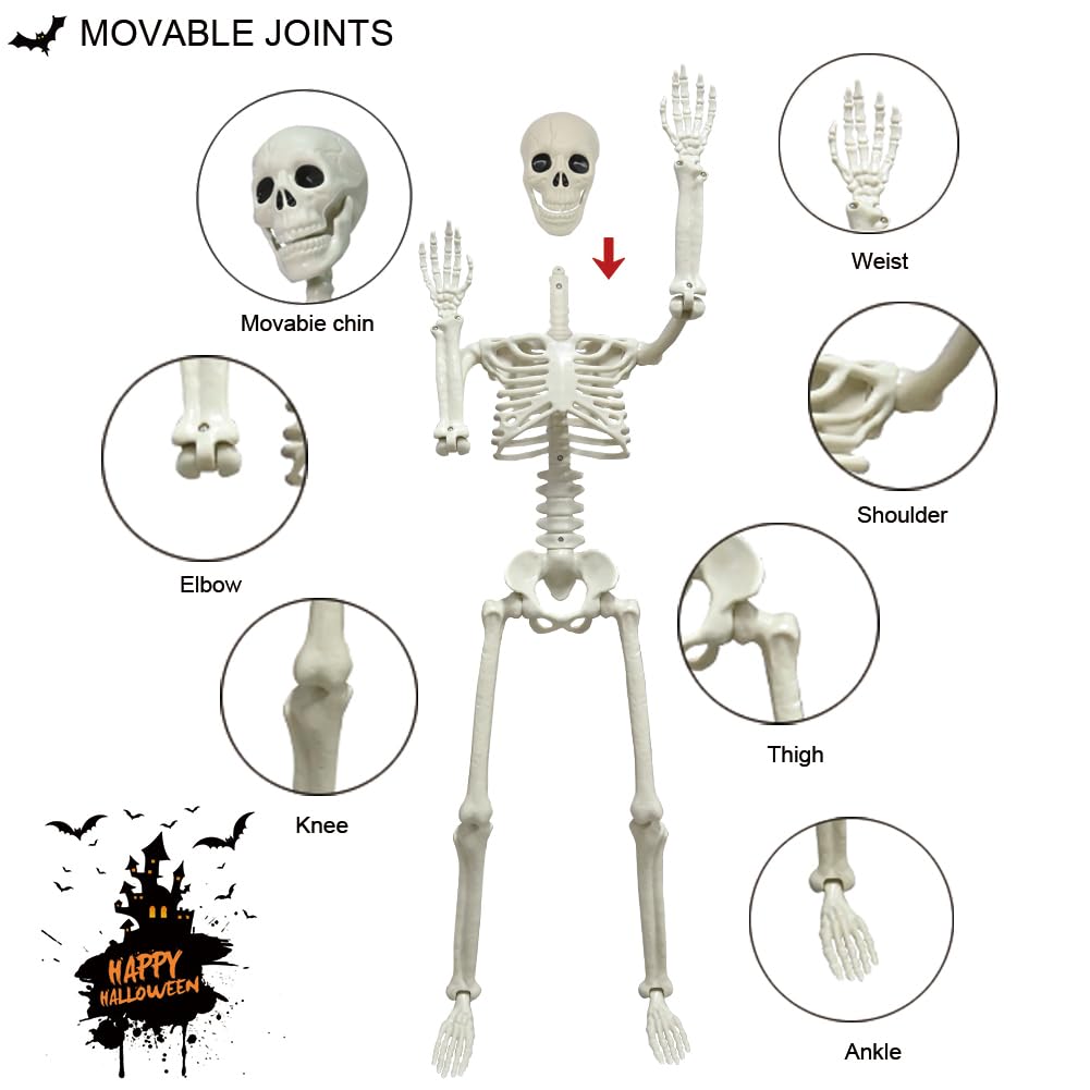 CAMIRUS 2 Pack 36" Posable Skeleton, 3ft Halloween Decoration with Movable Joints