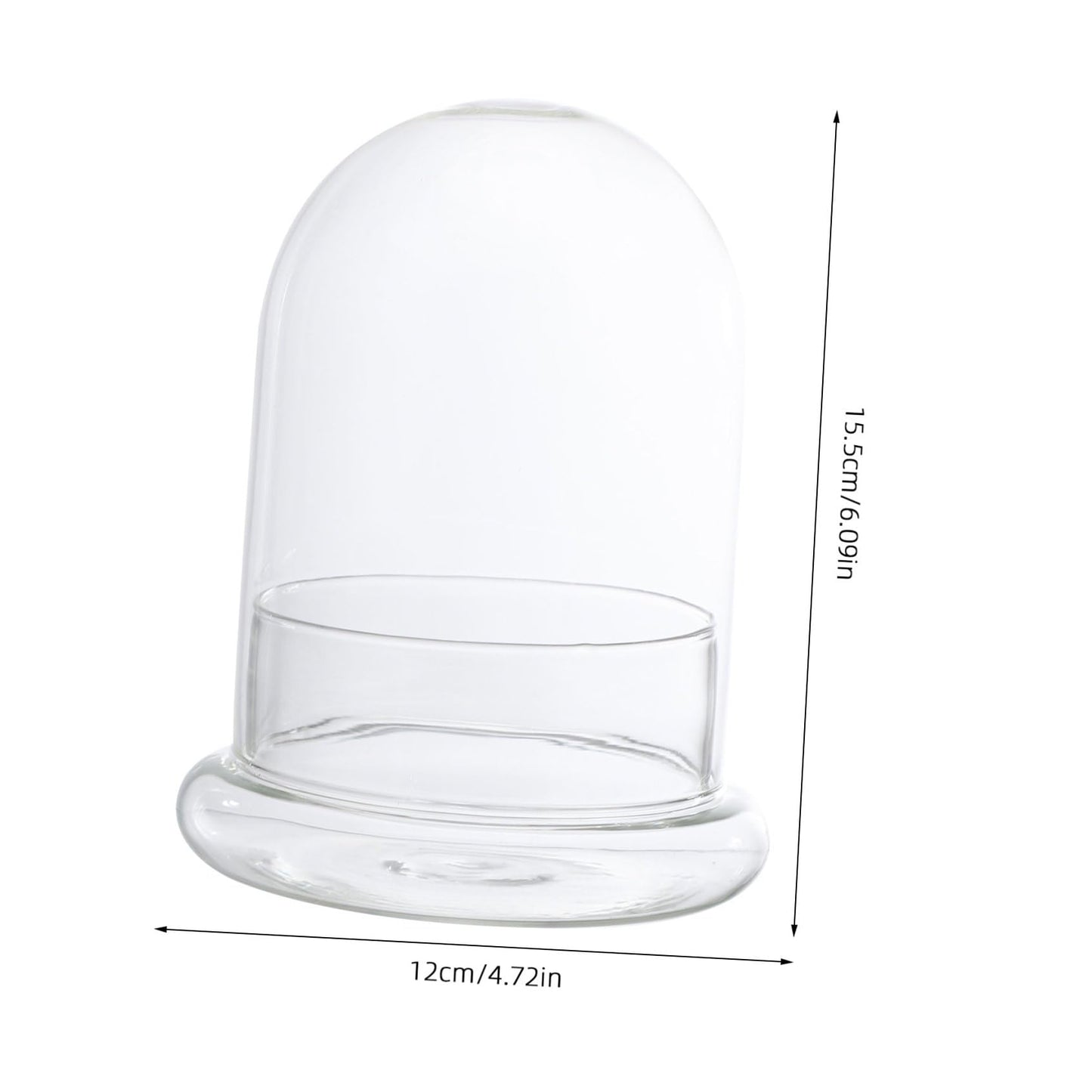 DOITOOL Decorative Glass Terrarium Jar with Ecological Bottle Moss for Home and Office D Cor Clear Glass Cloche Bell Jar for Diy Micro Landscape and Display 6 Inch Height