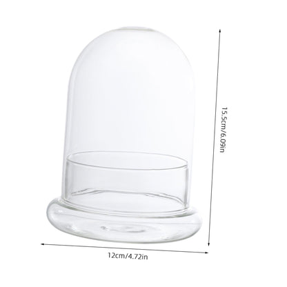 DOITOOL Decorative Glass Terrarium Jar with Ecological Bottle Moss for Home and Office D Cor Clear Glass Cloche Bell Jar for Diy Micro Landscape and Display 6 Inch Height