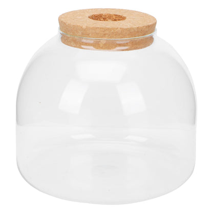 VANZACK 1set Glass Terrarium Container for Microlandscape Decor Transparent Bottle for Indoor and Outdoor Creative Plant Displays for Use