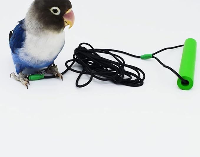 Bird Foot Chain with Flying Latex Elastic Training Rope Outdoor Parrot Ankle Foot Ring Accessories Bird Harness Leash Prevent Escaping (Model5-With 78.7inch Leash)