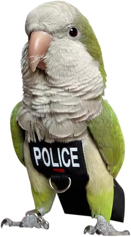 Bird Clothes Parrot Diapers Bird Flight Suits, Reusable Waterproof Diapers pet Bird Supplies (L)