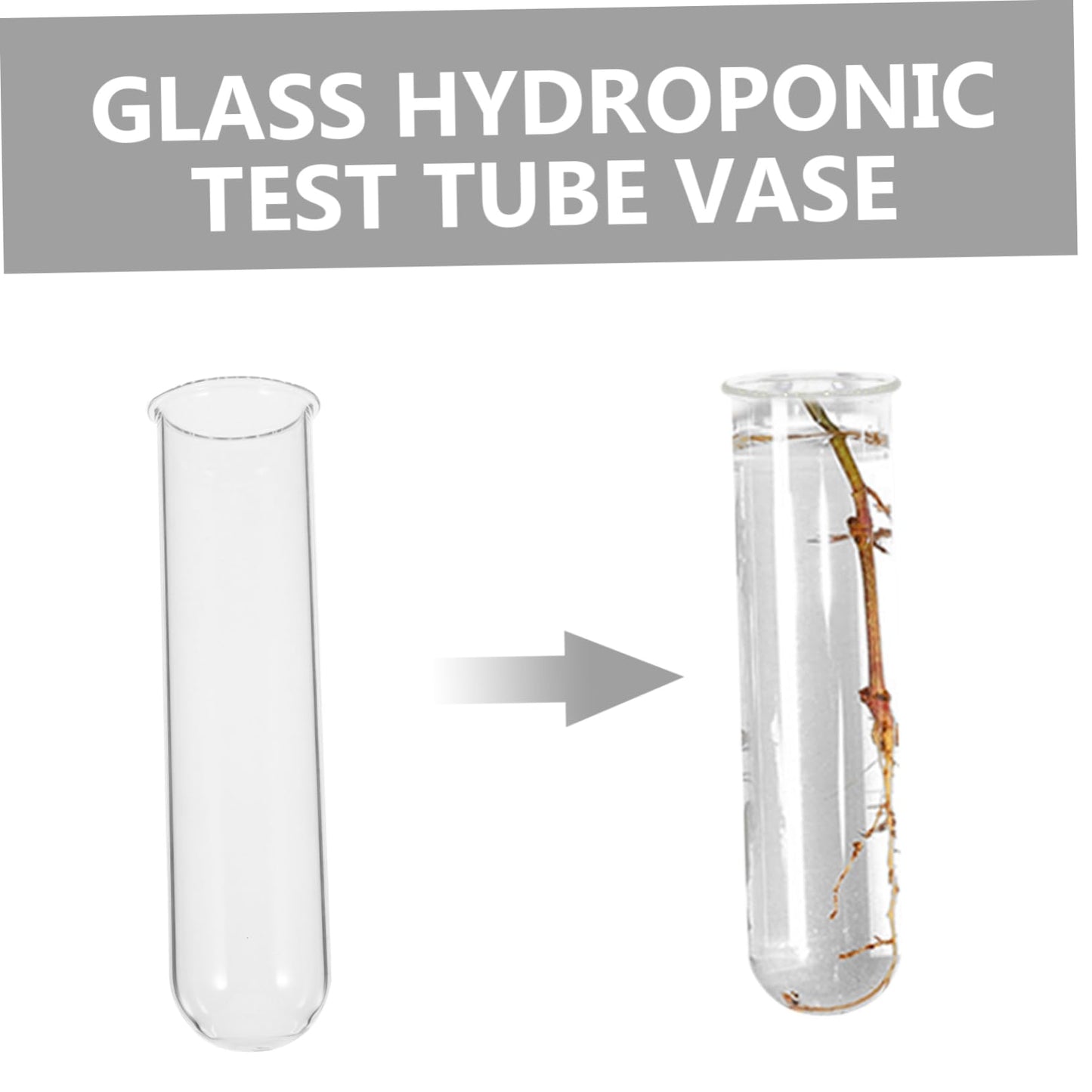 Healifty 4pcs Terrarium Supplies Glass Plant Vase Test Tube Vases for Flowers Plant Propagation Glass Tubes