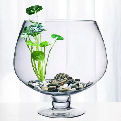 BESPORTBLE Glass Fish Bowl Vase - Clear Bubble Planter Terrarium Fish Bowl Wine Goblet Shaped Vase Transparent Hydroponic Bulb Floral Container